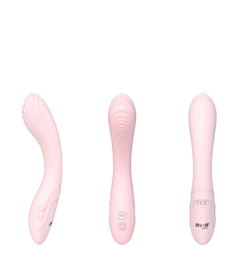 DRYWELL G-Spot Vibrator