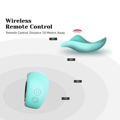 Wireless Remote-Control Wearable Panty Vibrator